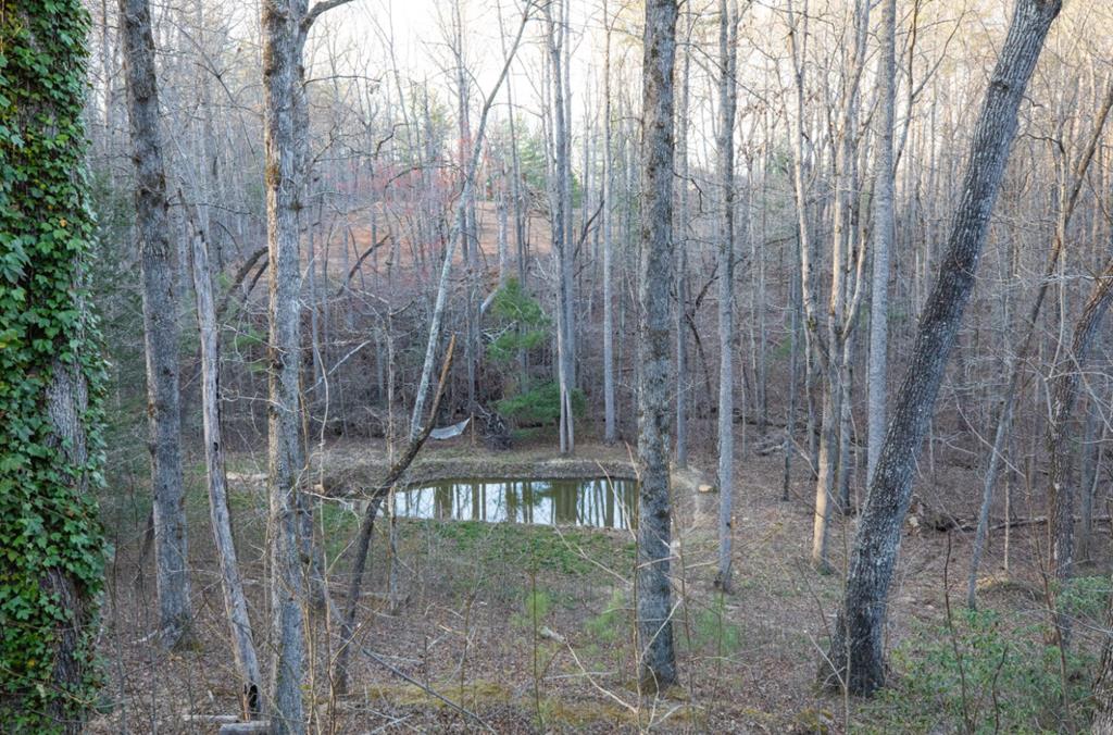 98 Deer Walk Talking Rock, GA 30175 - Photo 3 of 24