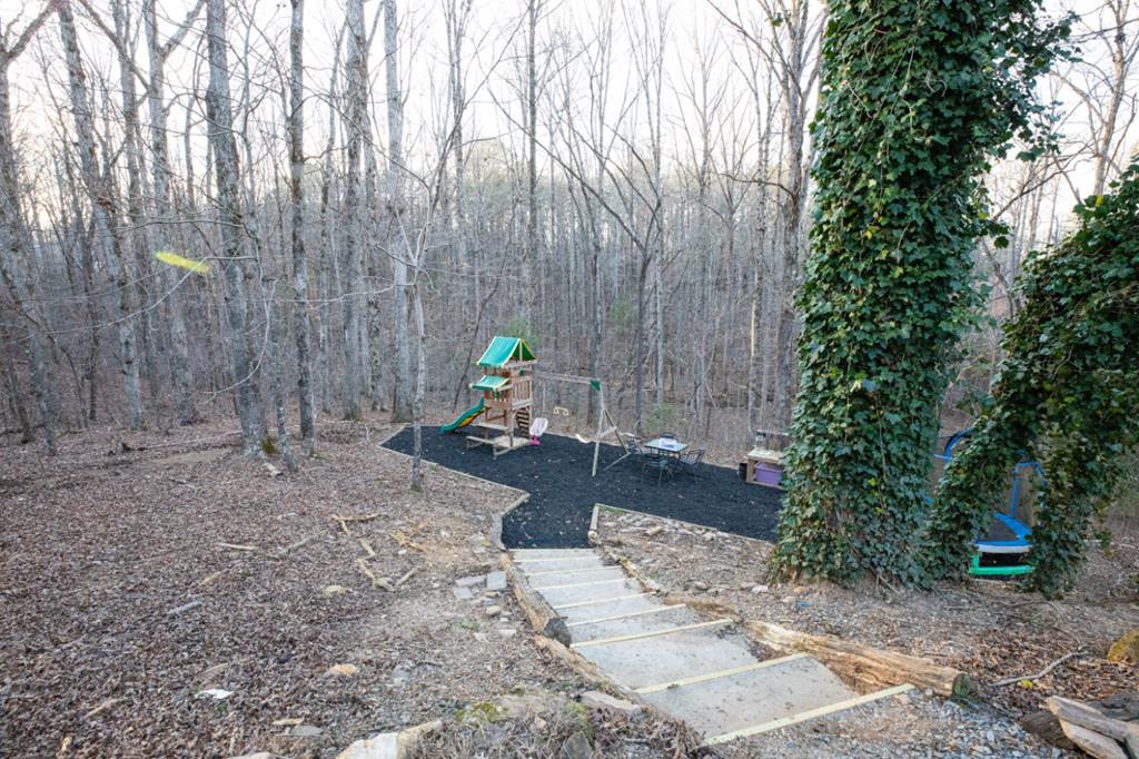 98 Deer Walk Talking Rock, GA 30175 - Photo 4 of 24