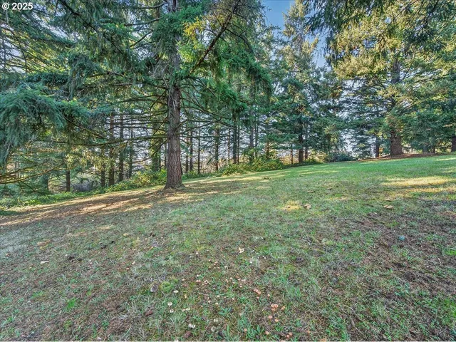 a view of a city with a mountain