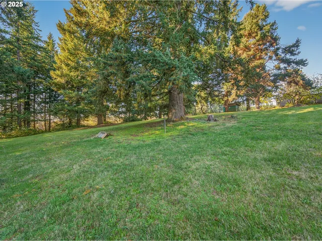 a view of a field with trees in the background