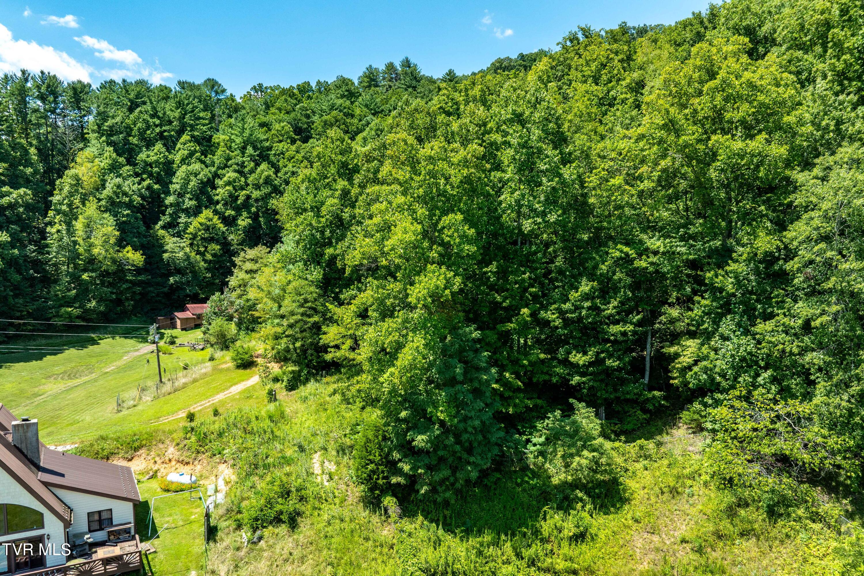 Lot 14 Cable Hollow Road, Unit 14C Butler, TN 37640 - Photo 19 of 35 TBD Cable Hollow Rd (17 of 26)