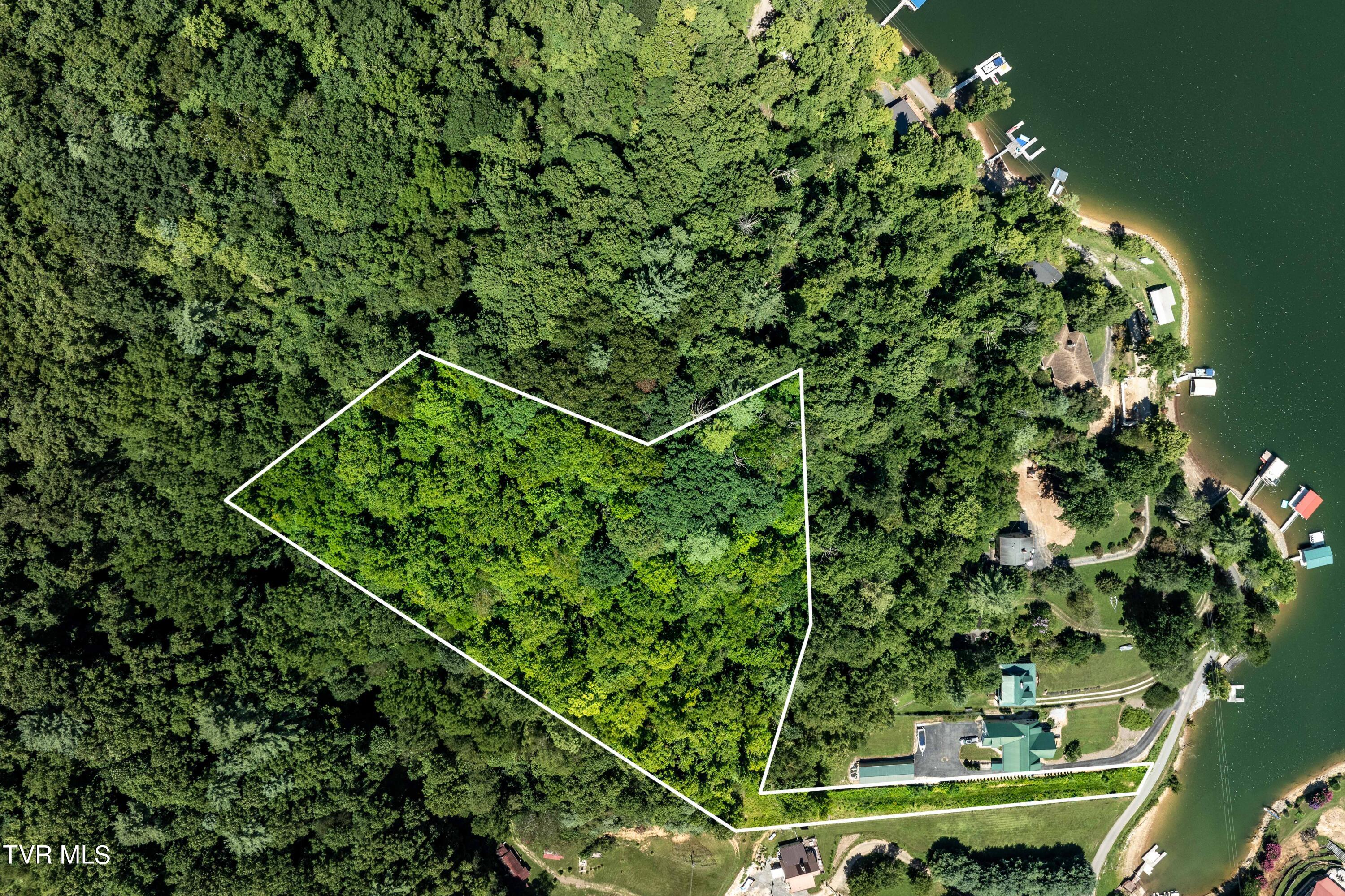 Lot 14 Cable Hollow Road, Unit 14C Butler, TN 37640 - Photo 2 of 35 TBD Cable Hollow Rd (1 of 26)
