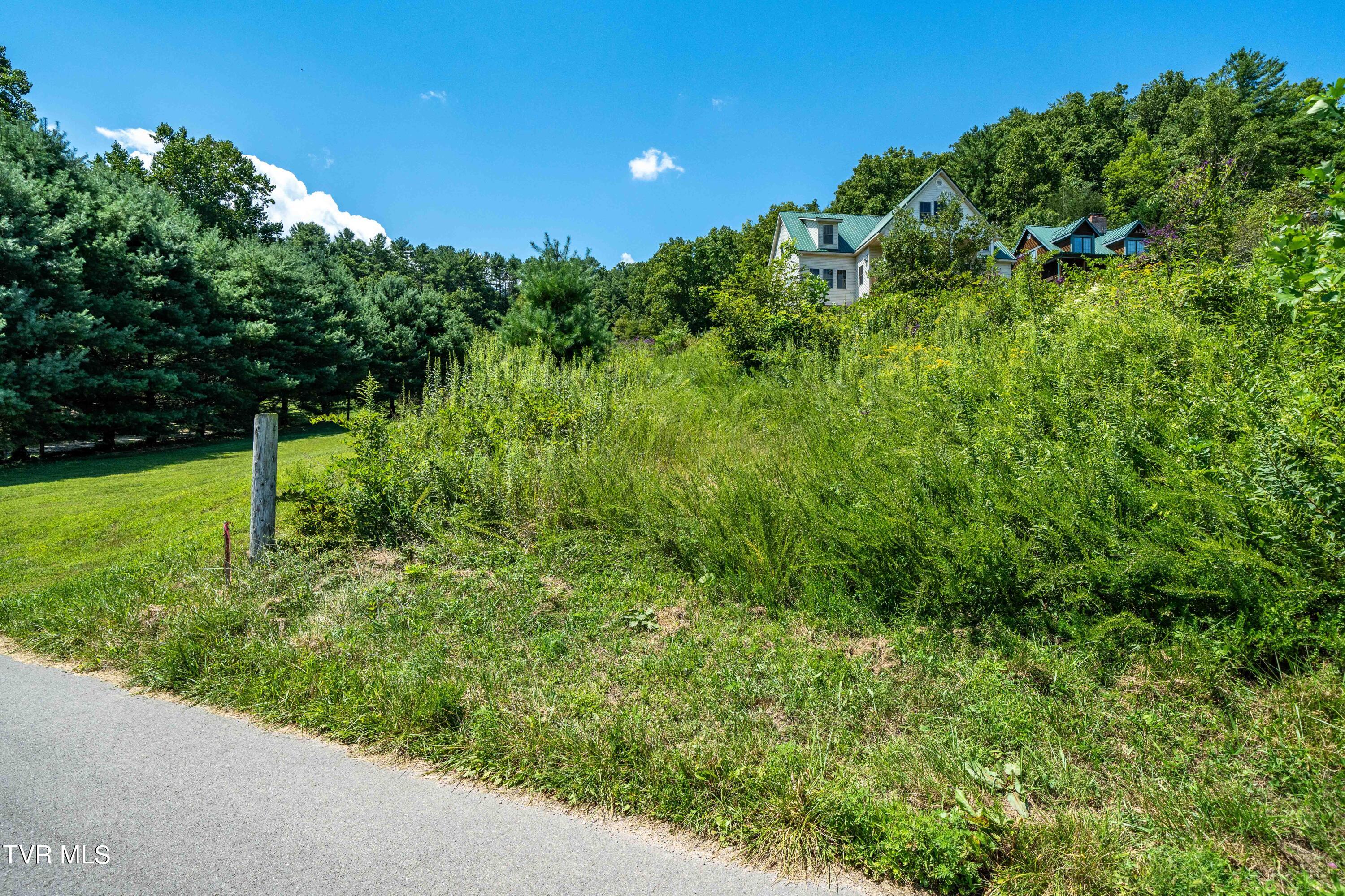 Lot 14 Cable Hollow Road, Unit 14C Butler, TN 37640 - Photo 23 of 35 TBD Cable Hollow Rd (21 of 26)