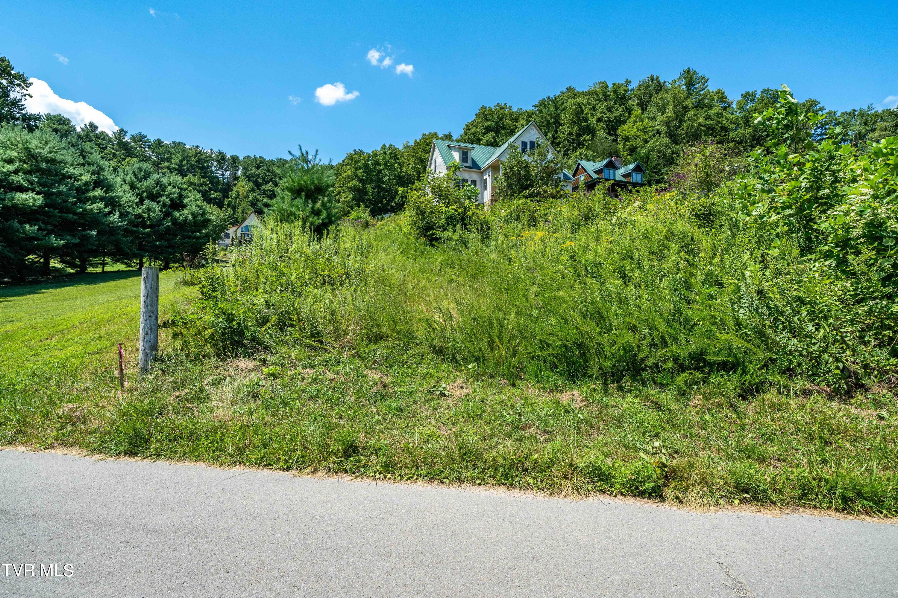 Lot 14 Cable Hollow Road, Unit 14C Butler, TN 37640 - Photo 27 of 35 TBD Cable Hollow Rd (26 of 26)