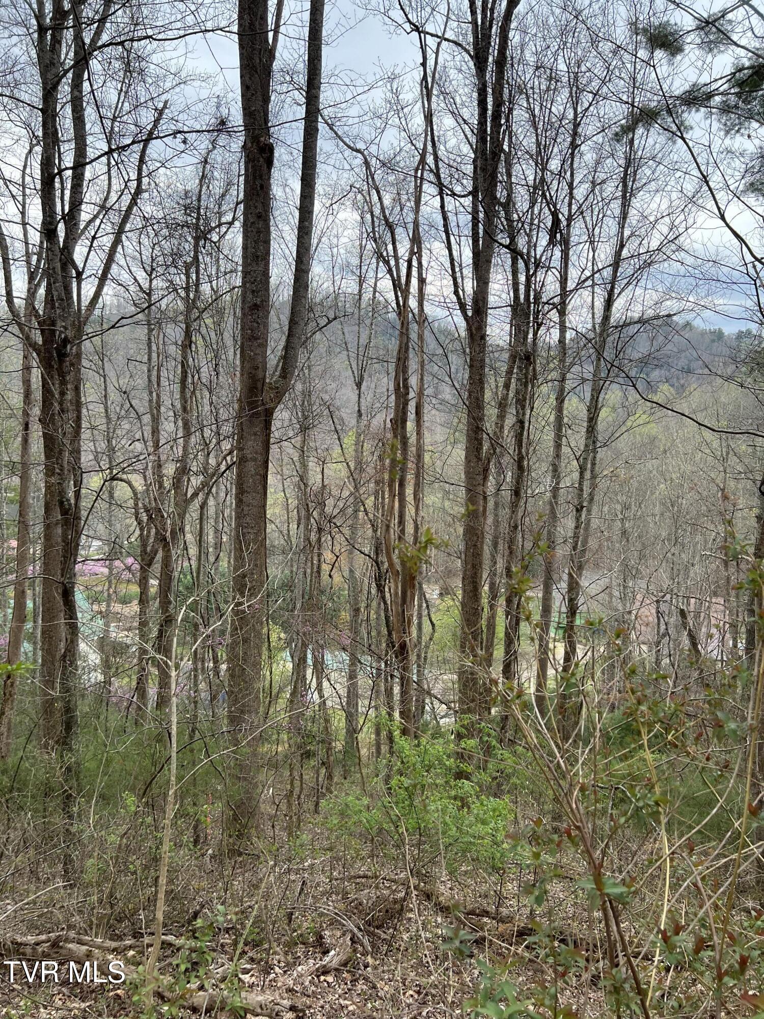 Lot 14 Cable Hollow Road, Unit 14C Butler, TN 37640 - Photo 29 of 35 IMG_7751
