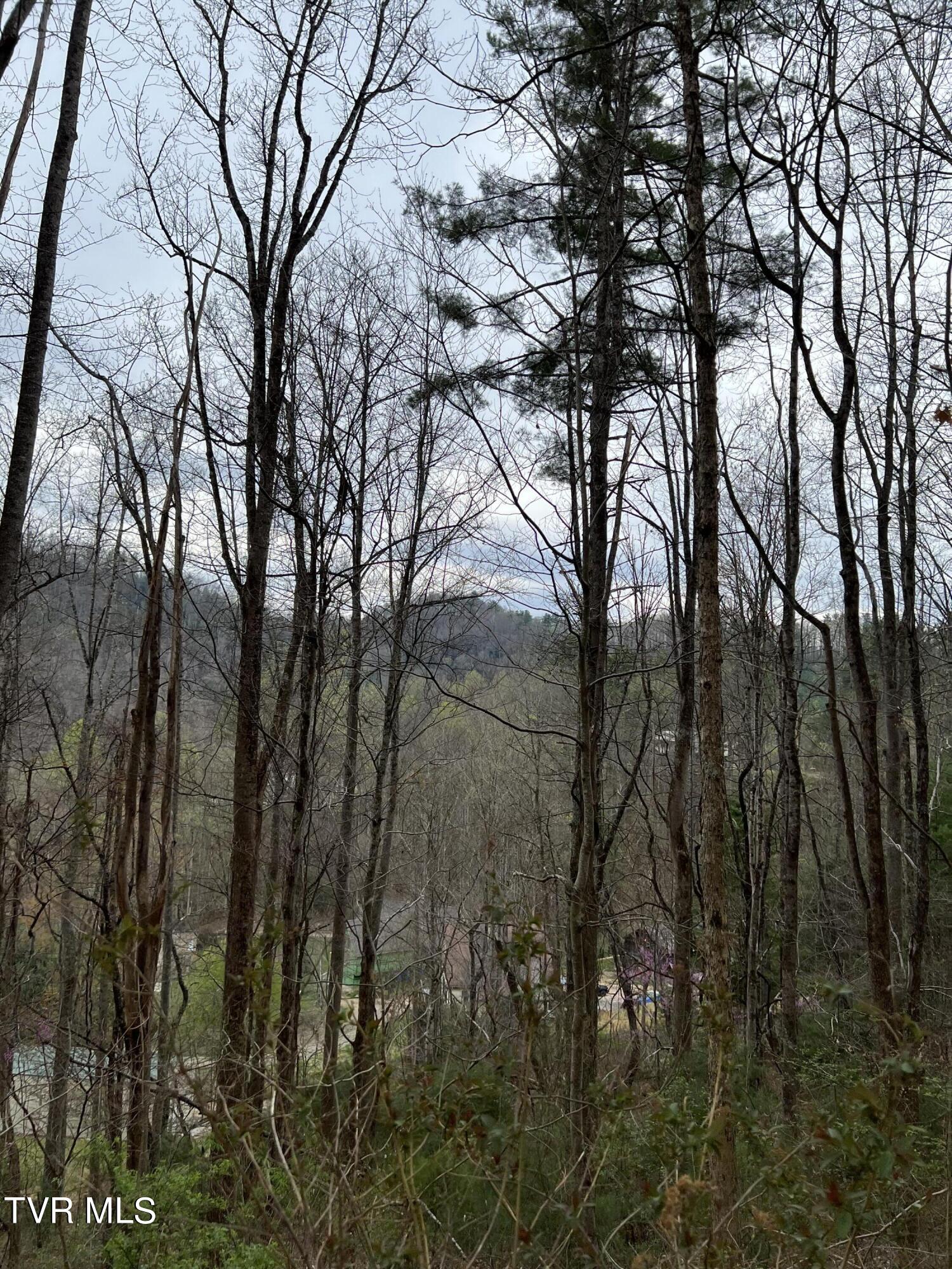 Lot 14 Cable Hollow Road, Unit 14C Butler, TN 37640 - Photo 31 of 35 IMG_7753