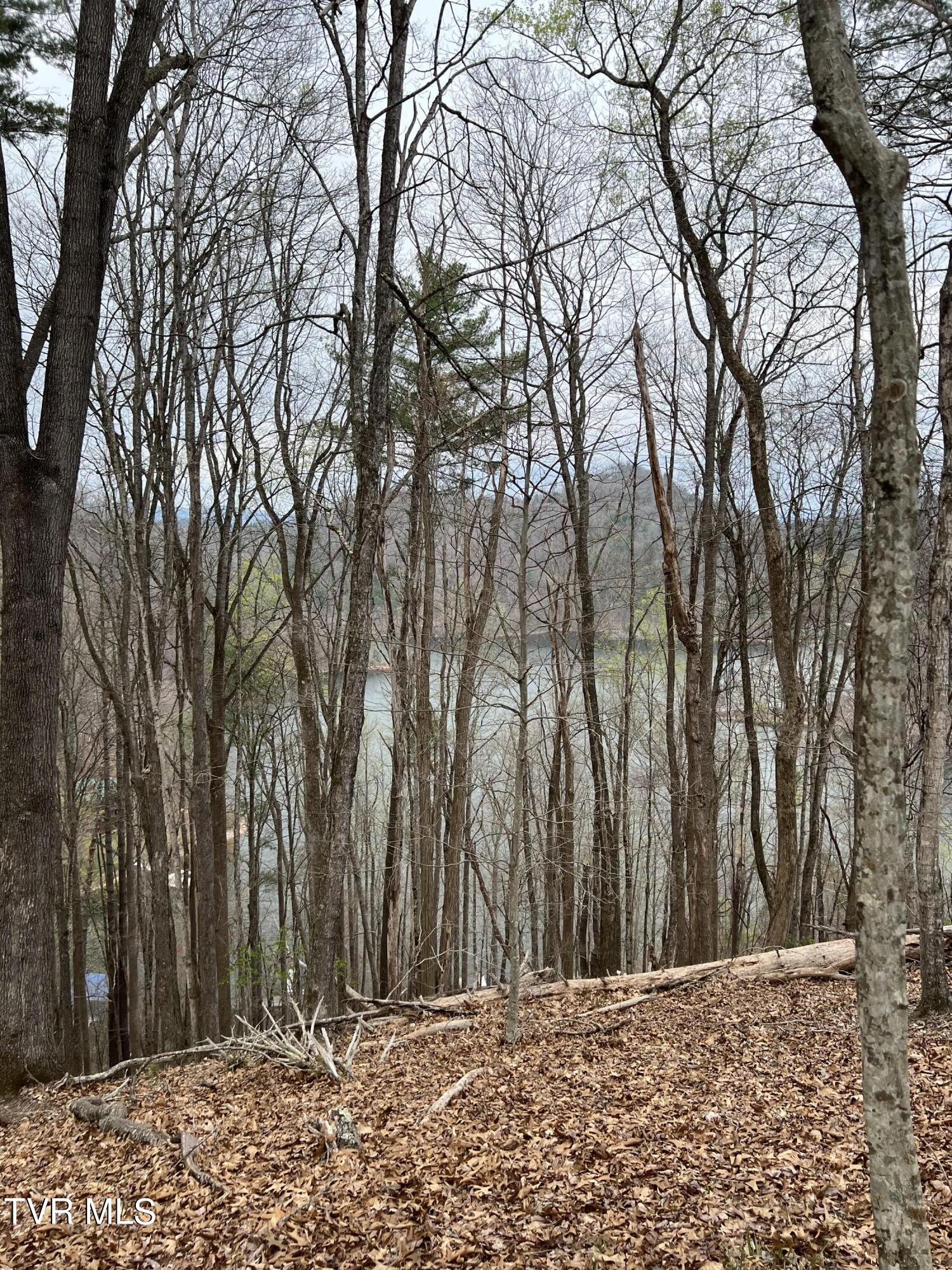 Lot 14 Cable Hollow Road, Unit 14C Butler, TN 37640 - Photo 33 of 35 IMG_7755