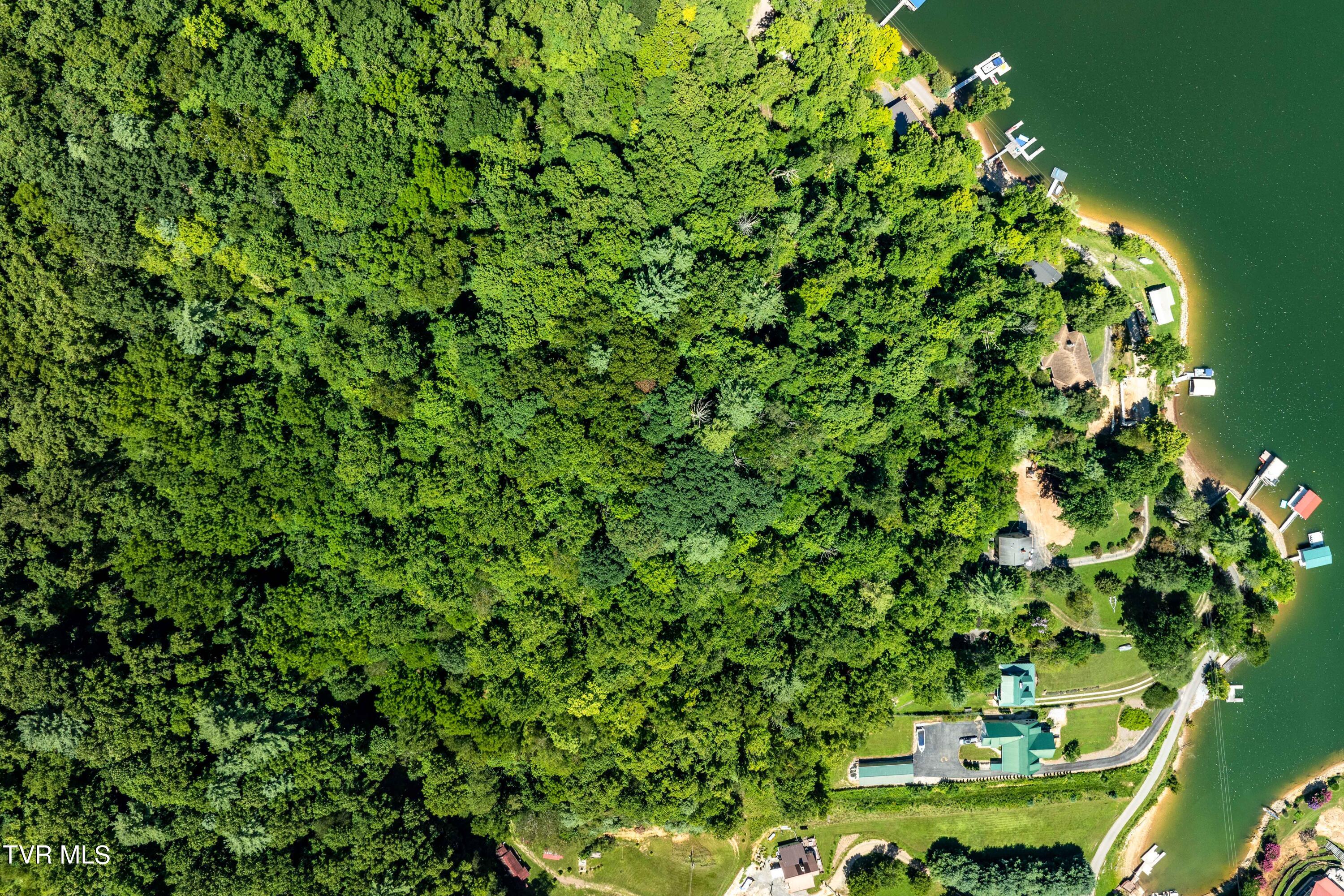 Lot 14 Cable Hollow Road, Unit 14C Butler, TN 37640 - Photo 5 of 35 TBD Cable Hollow Rd (2 of 26)