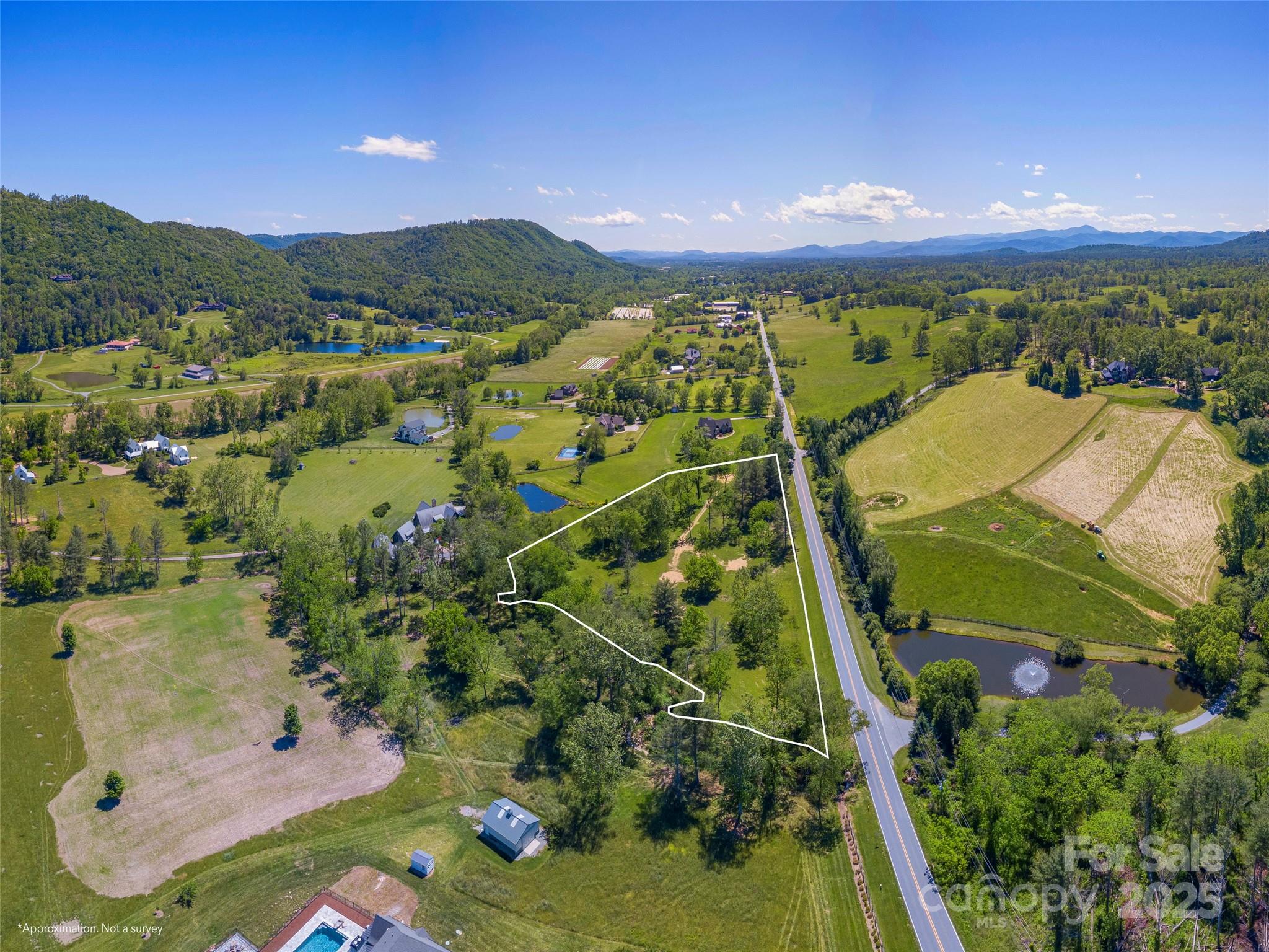 1132 Cane Creek Road Fletcher, NC 28732 - Photo 3 of 12