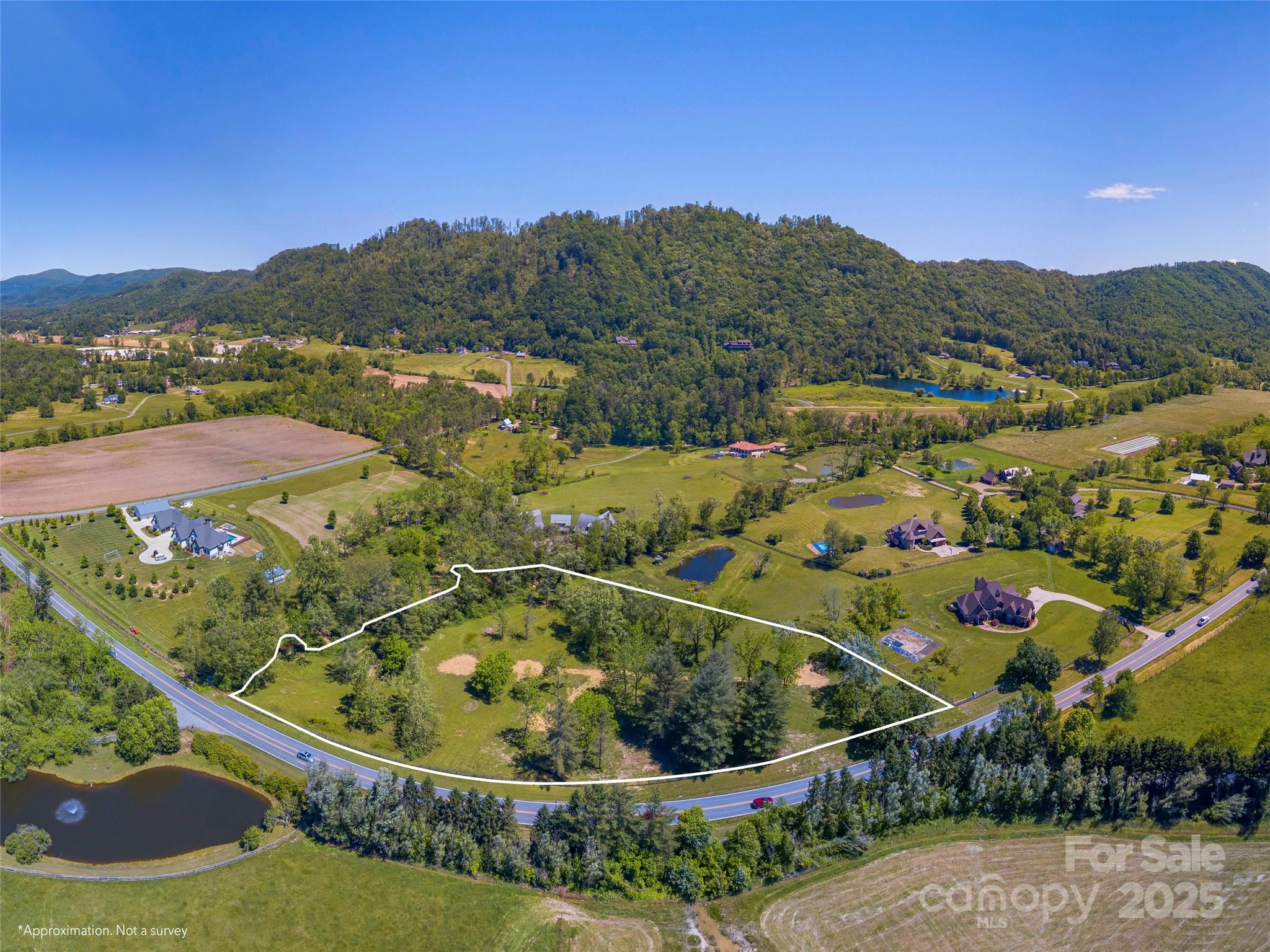 1132 Cane Creek Road Fletcher, NC 28732 - Photo 4 of 12