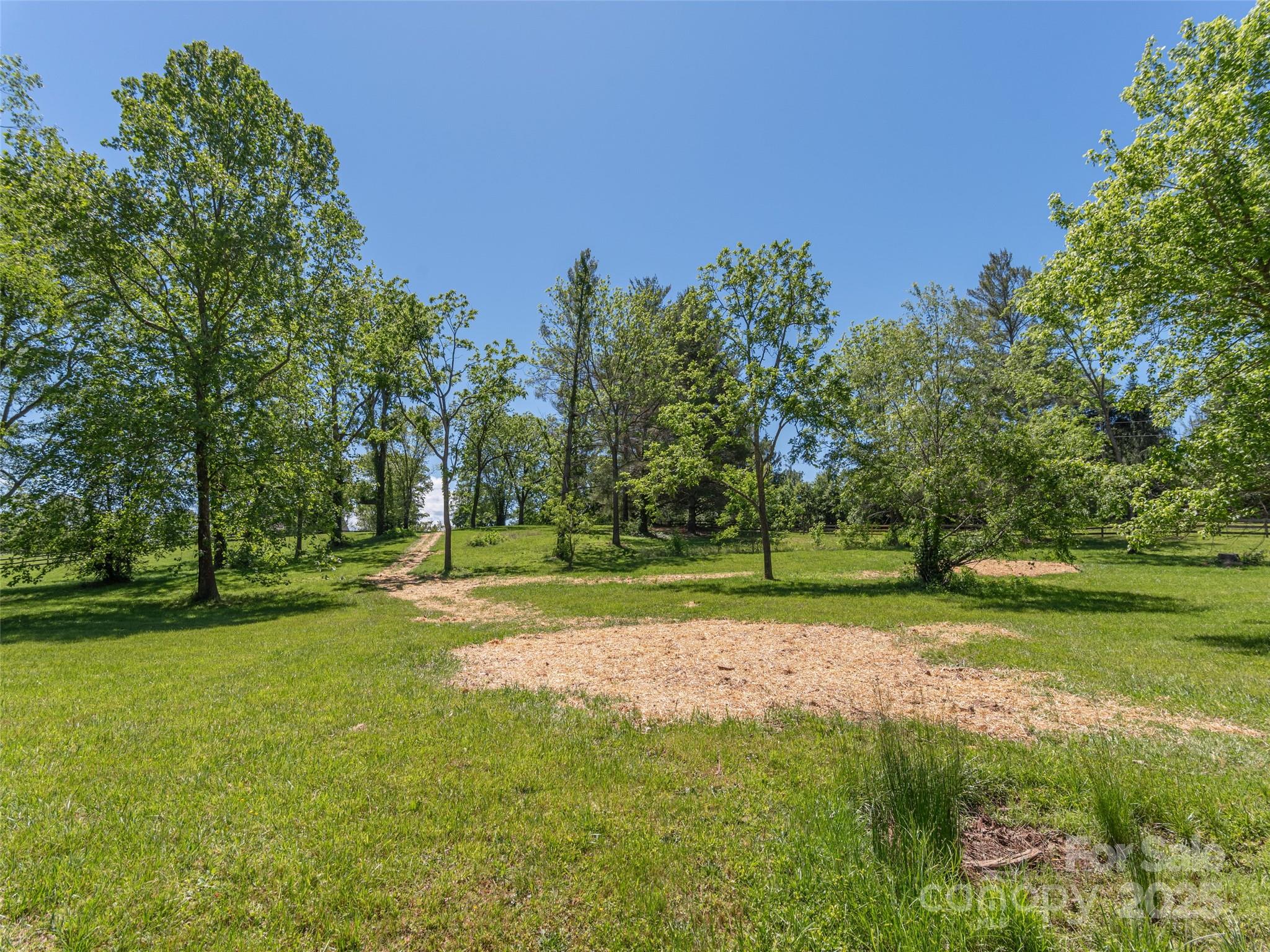1132 Cane Creek Road Fletcher, NC 28732 - Photo 8 of 12