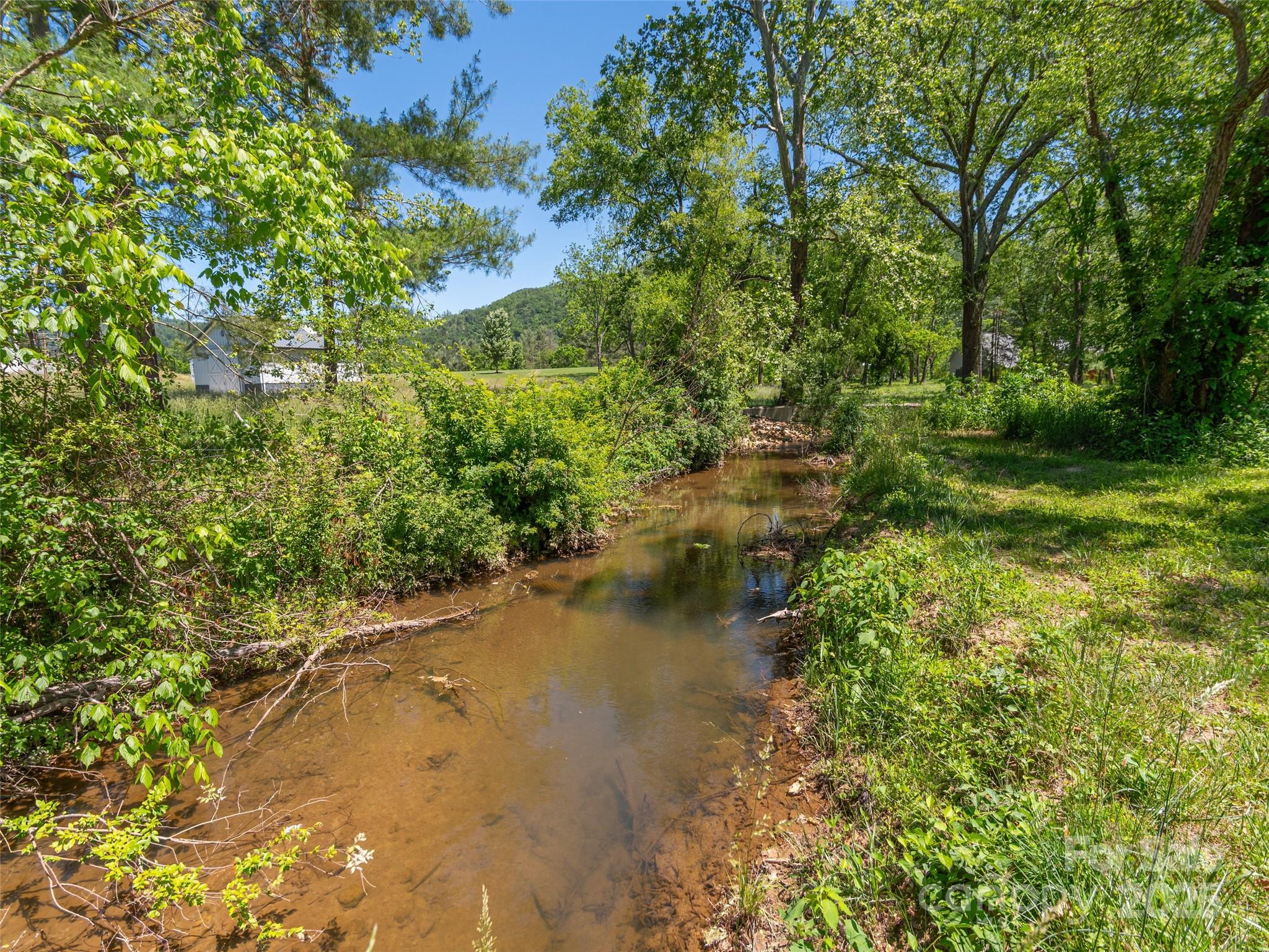 1132 Cane Creek Road Fletcher, NC 28732 - Photo 10 of 12