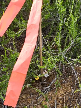 a view of a lush green hillside and a mountain