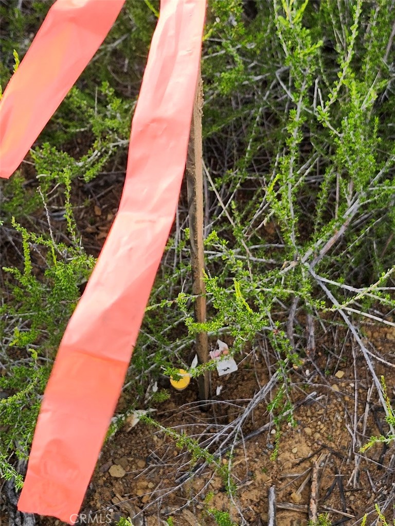 10480 Sky High Ridge Road Lower Lake, CA 95457 - Photo 11 of 12 a view of a garden