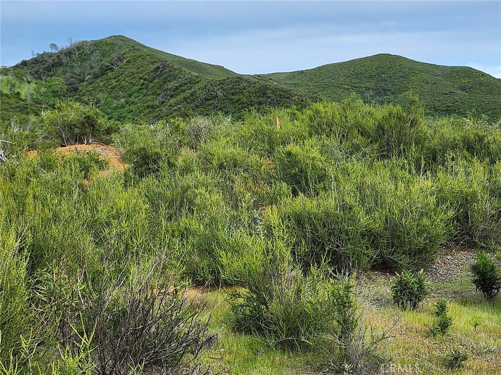 10480 Sky High Ridge Road Lower Lake, CA 95457 - Photo 12 of 12 a view of a lush green hillside and a mountain