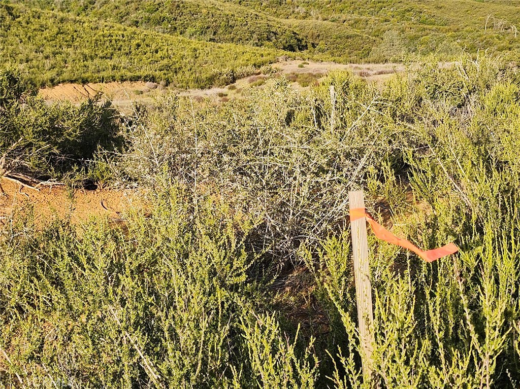 10480 Sky High Ridge Road Lower Lake, CA 95457 - Photo 3 of 12