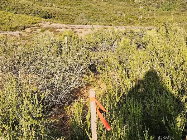 a view of a lush green field with lots of trees