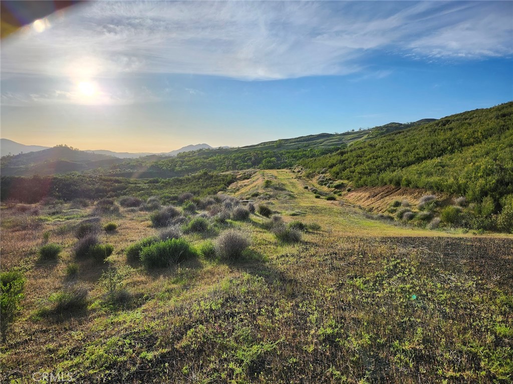 10480 Sky High Ridge Road Lower Lake, CA 95457 - Photo 5 of 12 a view of a lush green field with lots of trees