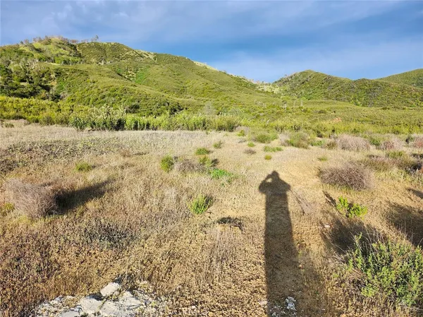 a view of a lush green forest with mountains in the background
