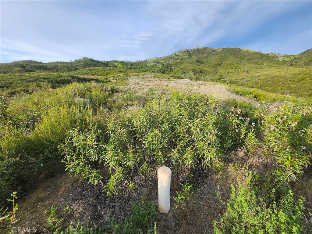 10480 Sky High Ridge Road Lower Lake, CA 95457 - Photo 8 of 12 a view of a lush green forest with mountains in the background