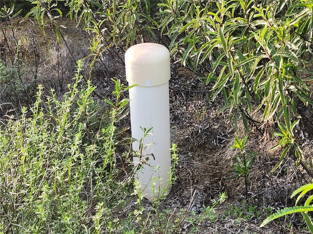 10480 Sky High Ridge Road Lower Lake, CA 95457 - Photo 9 of 12 a close up of a sink in a garden