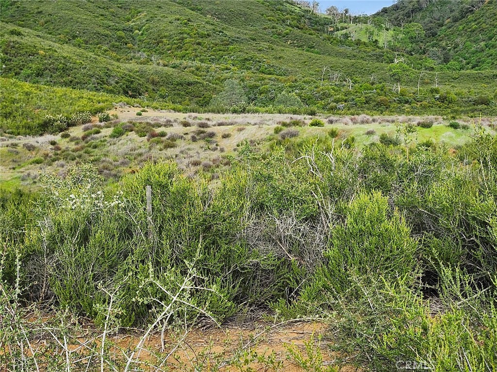 10480 Sky High Ridge Road Lower Lake, CA 95457 - Photo 10 of 12 a view of a yard