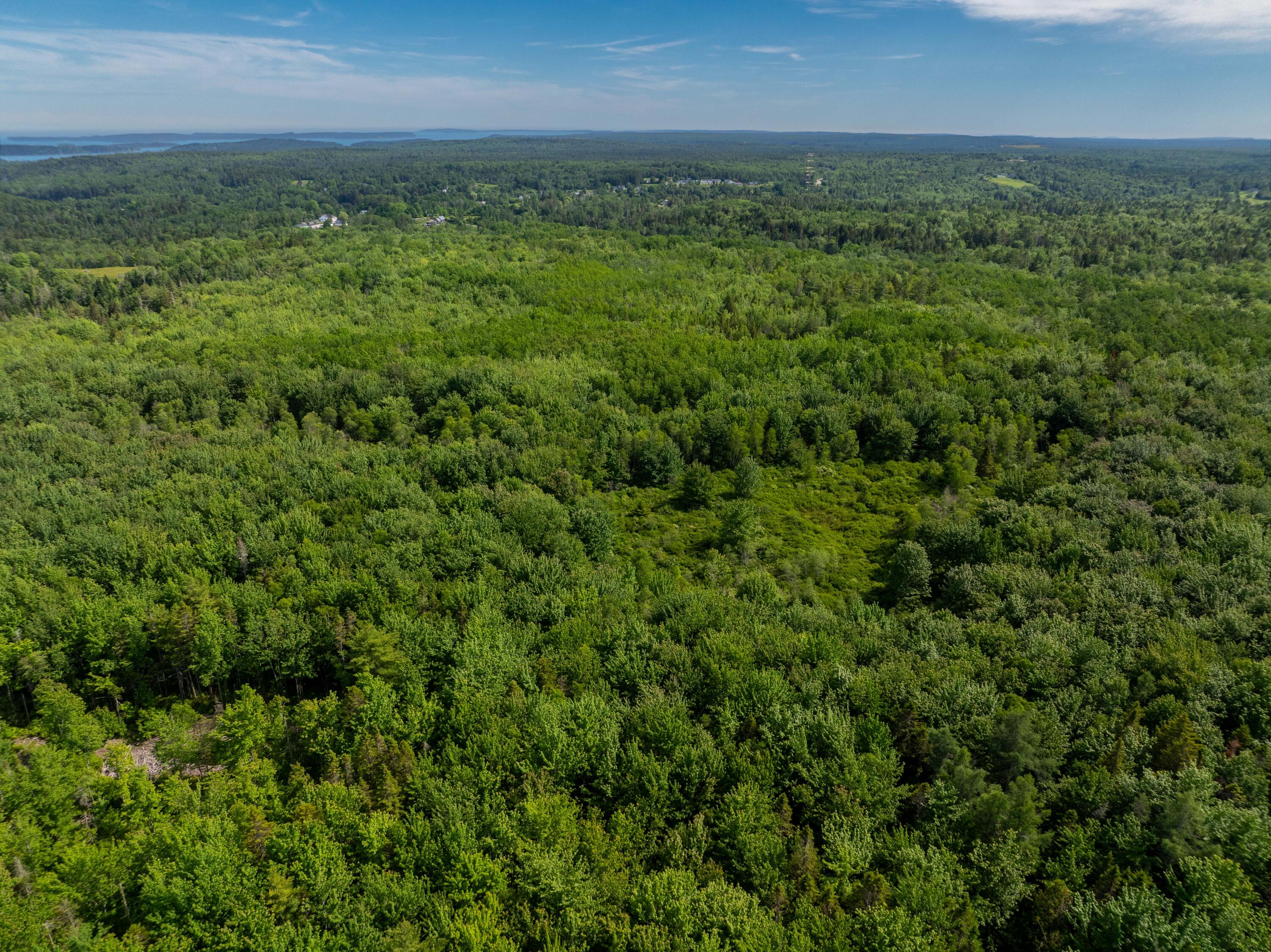 Lot #28 Station Road Jonesboro, ME 04648 - Photo 7 of 26 6-17-26 Station Rd Lot Jonesboro (6 of 2