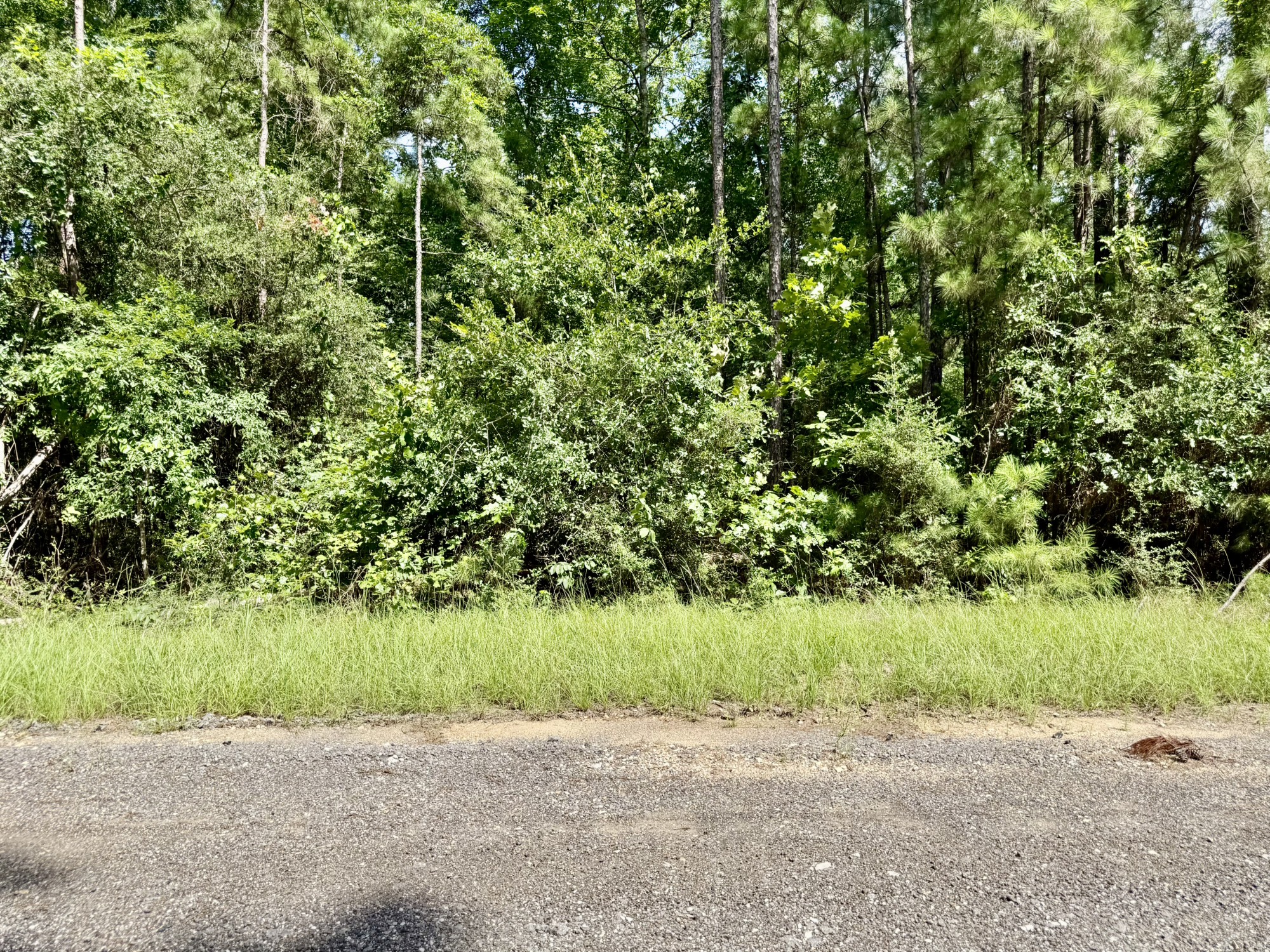 Tbd Tbd Spring Creek Drive Coldspring, TX 77331 - Photo 1 of 9