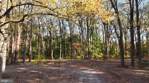 a view of outdoor space with trees