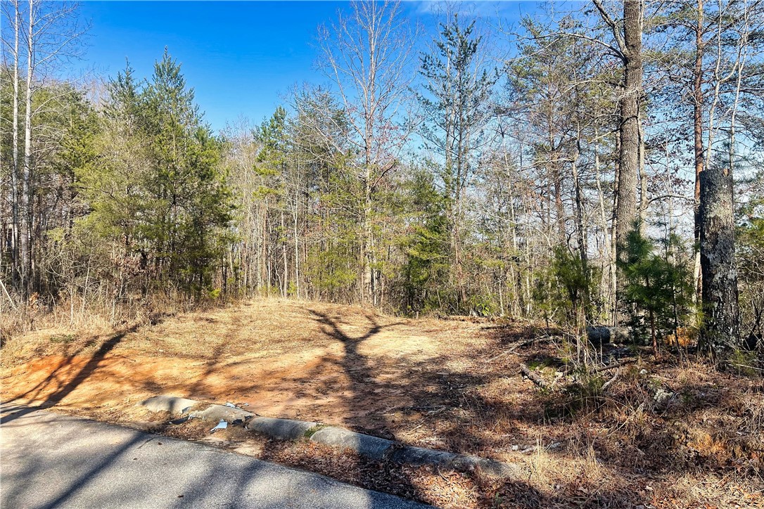 36109 Sherwood Road Marietta, SC 29661 - Photo 1 of 29 Gallery Image 1