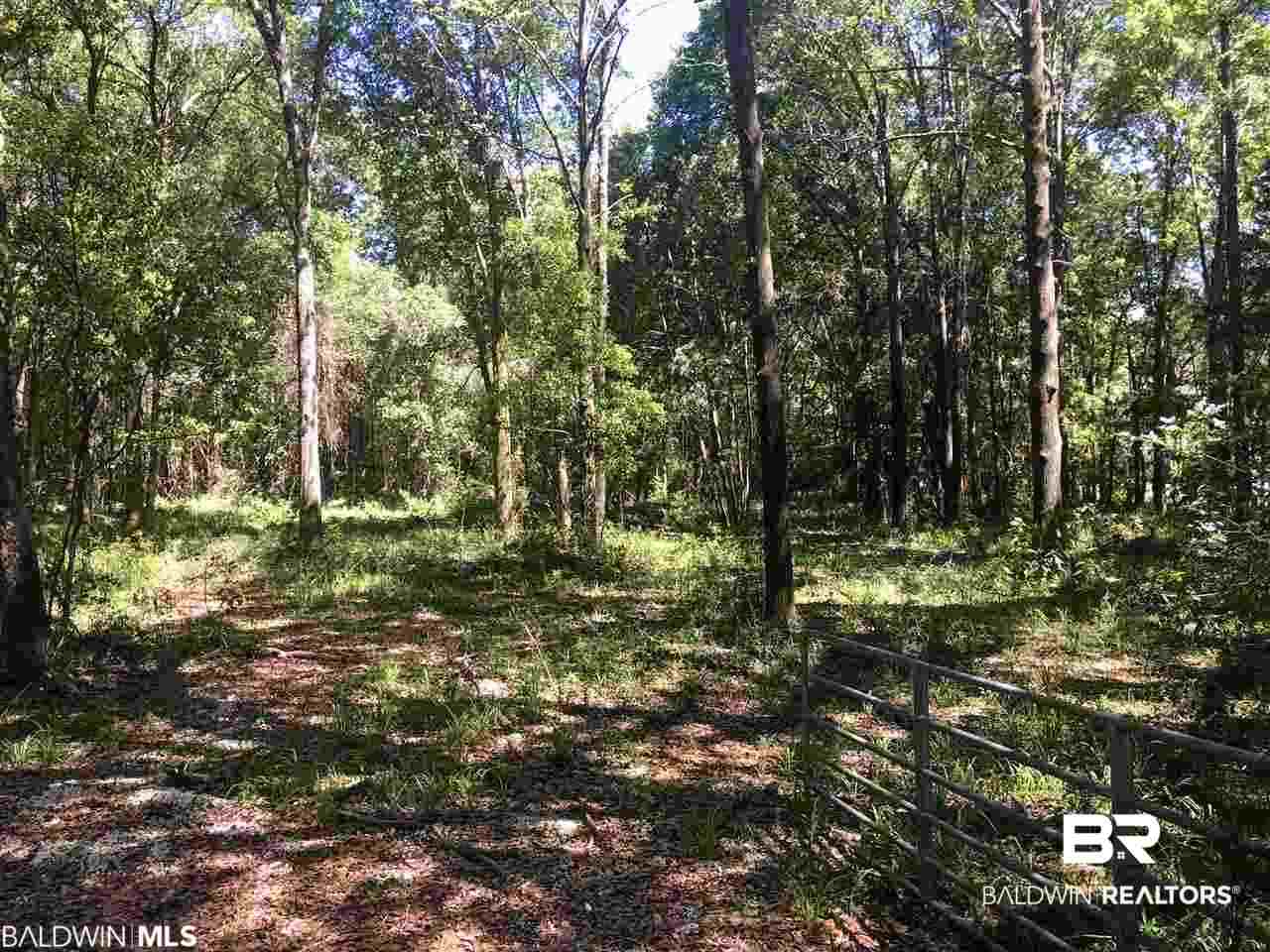 29180 Vlahos Lane Daphne, AL 36526 - Photo 1 of 11
