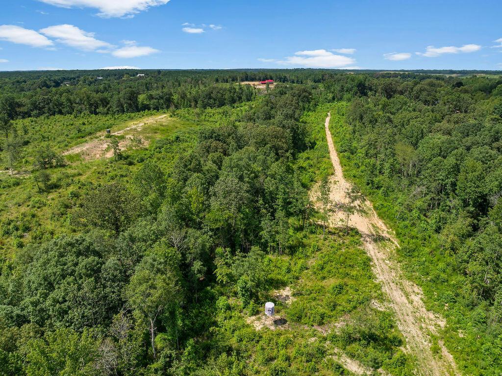 1063 Lays Road Jasper, AL 35503 - Photo 30 of 35 DJI_20250717131836_0063_D-53-11