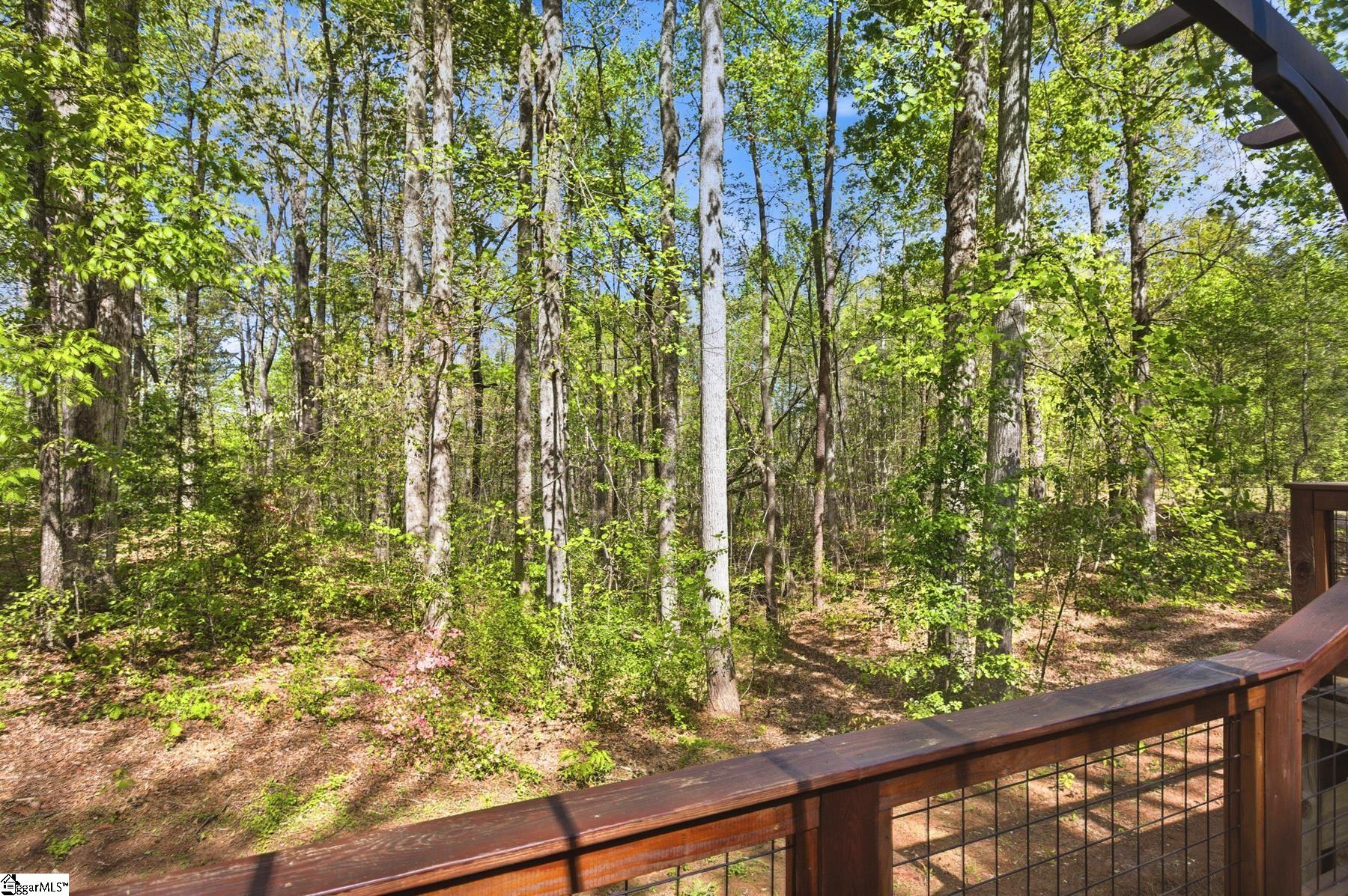 275 Mountain Springs Road West Union, SC 29696 - Photo 30 of 42