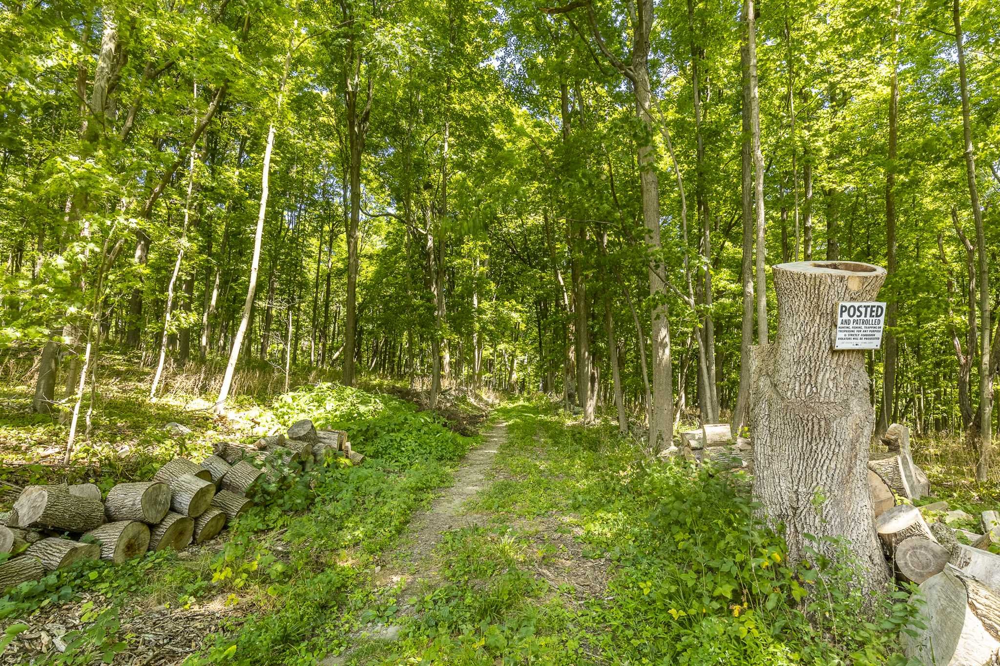 112 Malone Road Salt Point, NY 12578 - Photo 25 of 26 a backyard of a house with lots of green space and garden