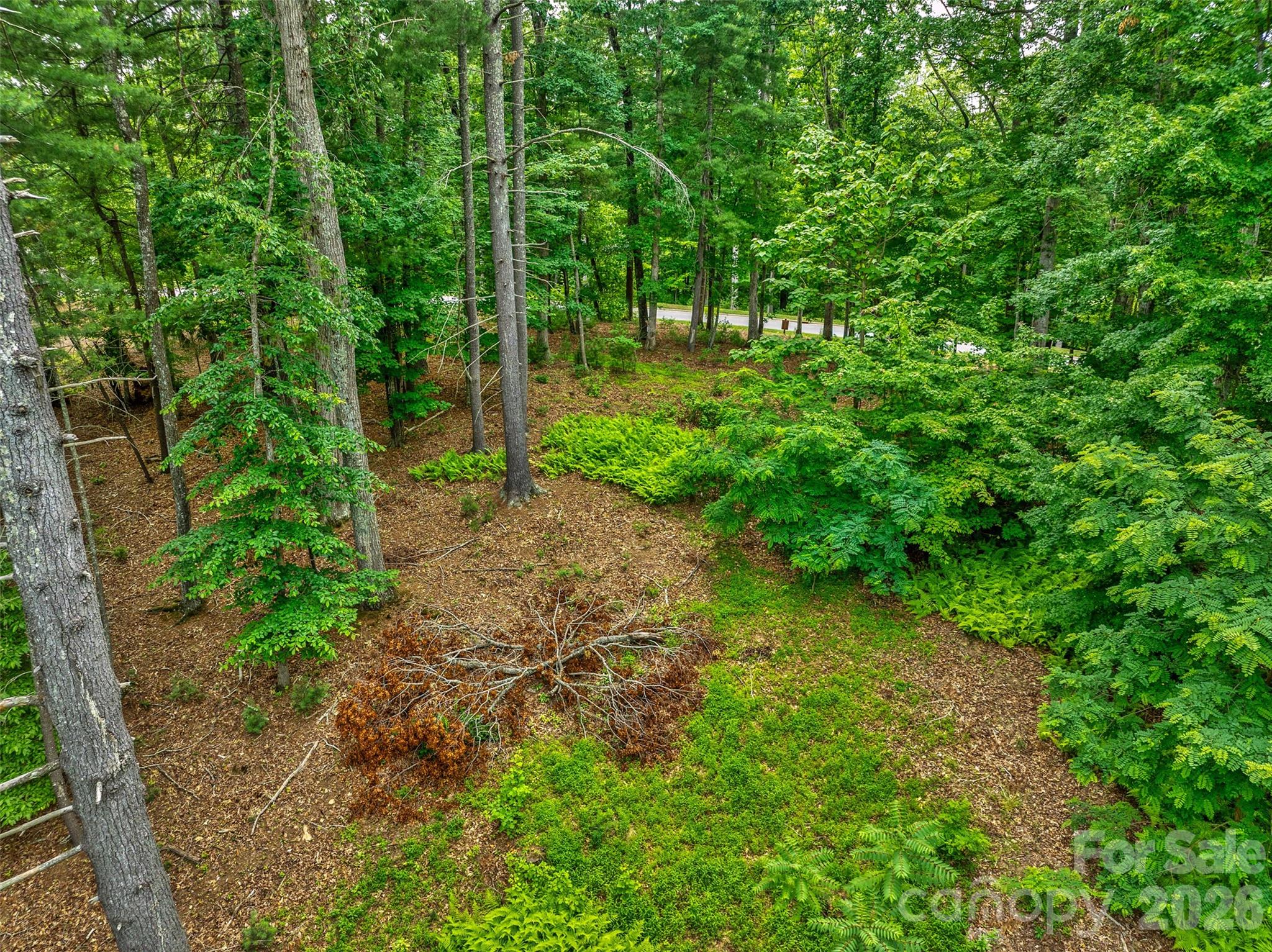 17 Hendrickson Court Candler, NC 28715 - Photo 11 of 17 a backyard of a house with lots of green space