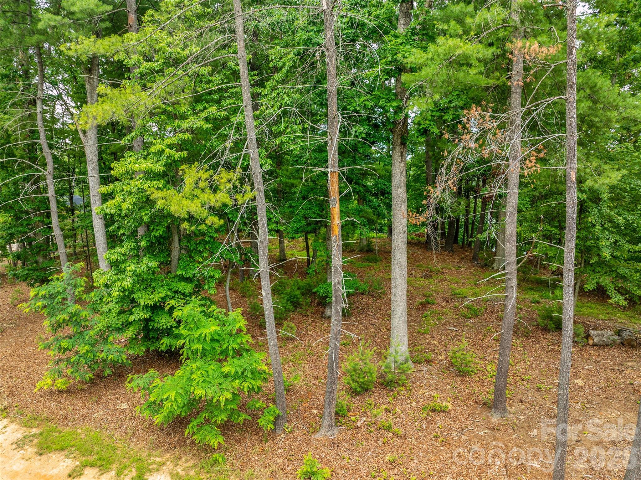 17 Hendrickson Court Candler, NC 28715 - Photo 13 of 17 a view of lake view