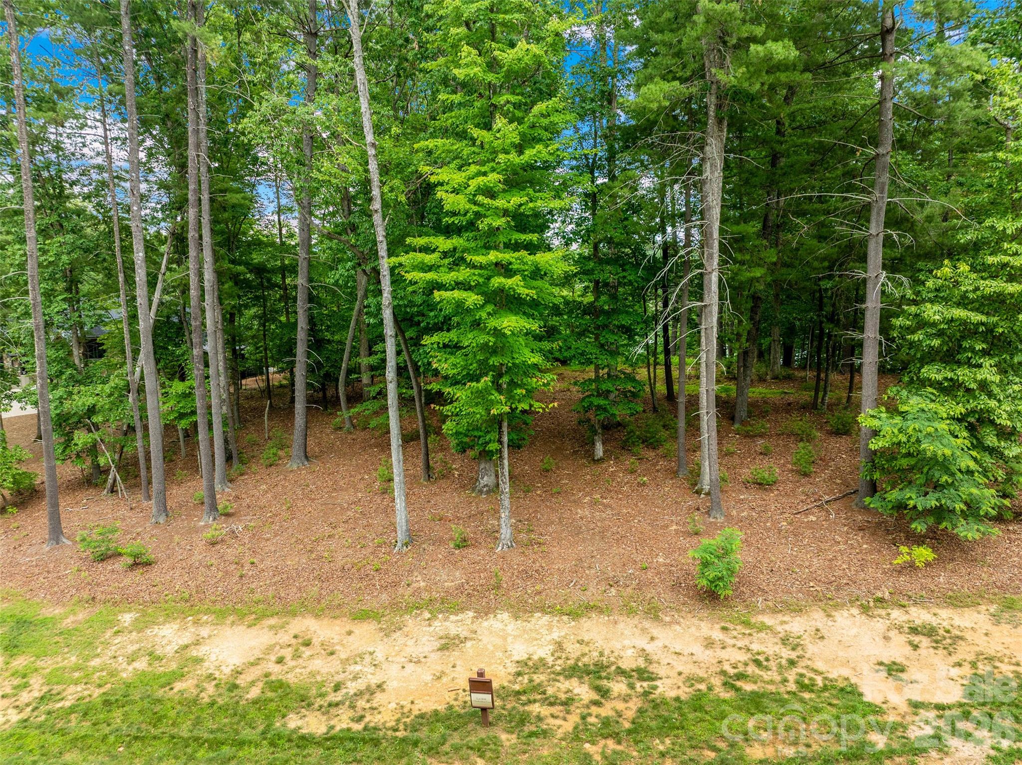 17 Hendrickson Court Candler, NC 28715 - Photo 15 of 17 a view of a backyard with plants and tree