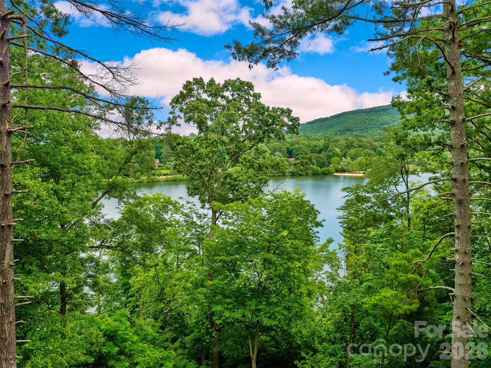 17 Hendrickson Court Candler, NC 28715 - Photo 3 of 17 a view of a garden with a lake