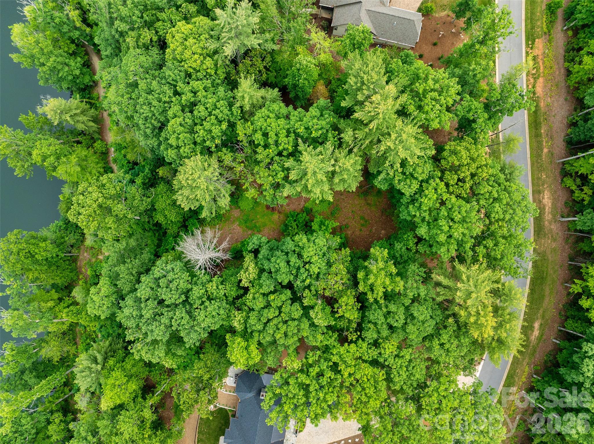17 Hendrickson Court Candler, NC 28715 - Photo 7 of 17 an aerial view of a house with a yard and large trees
