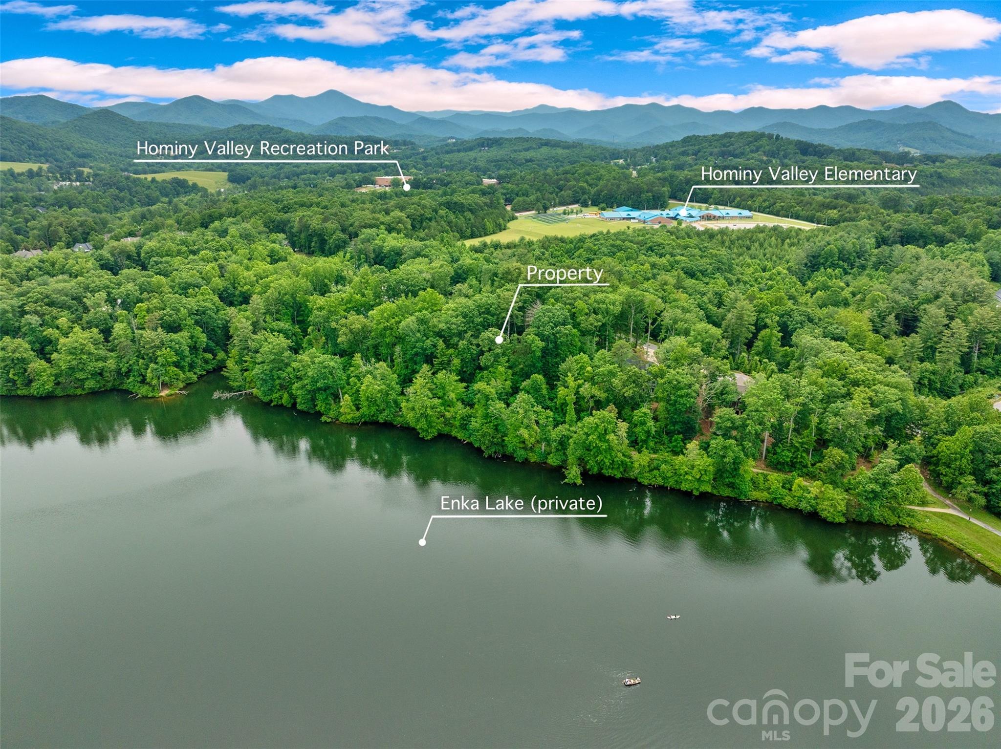 17 Hendrickson Court Candler, NC 28715 - Photo 10 of 17 a view of lake view and mountain view