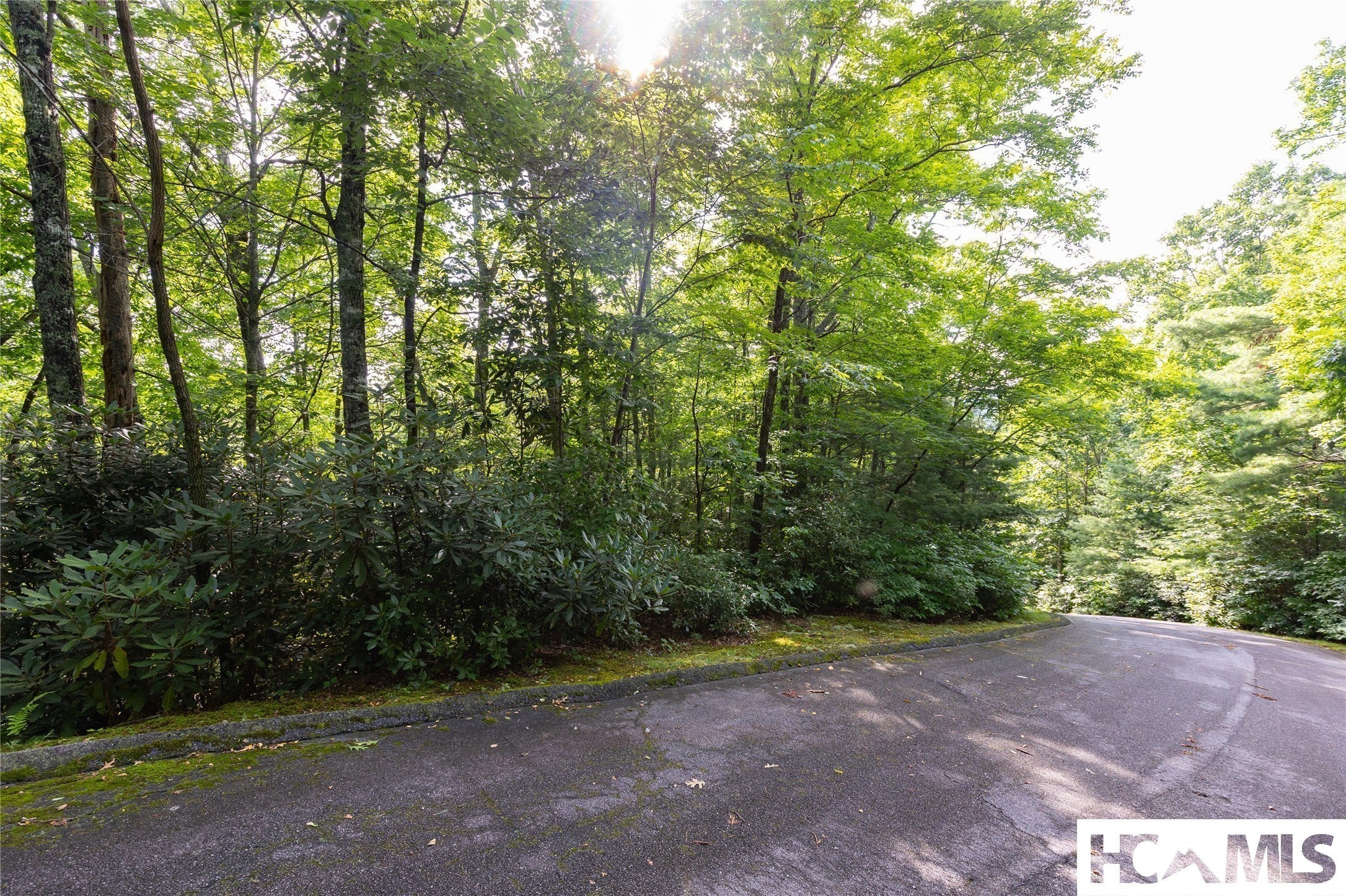 43-fr Running Fox Road Sapphire, NC 28774 - Photo 4 of 48 Gallery Image 4