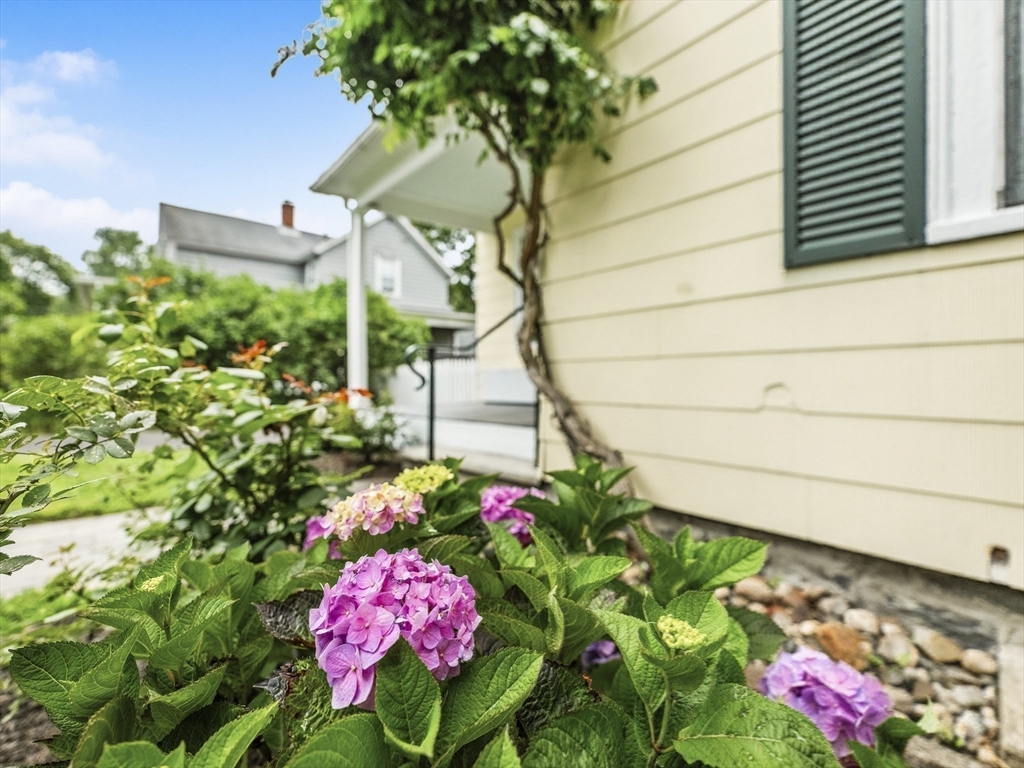 62 Crest Street Concord, MA 01742 - Photo 26 of 38