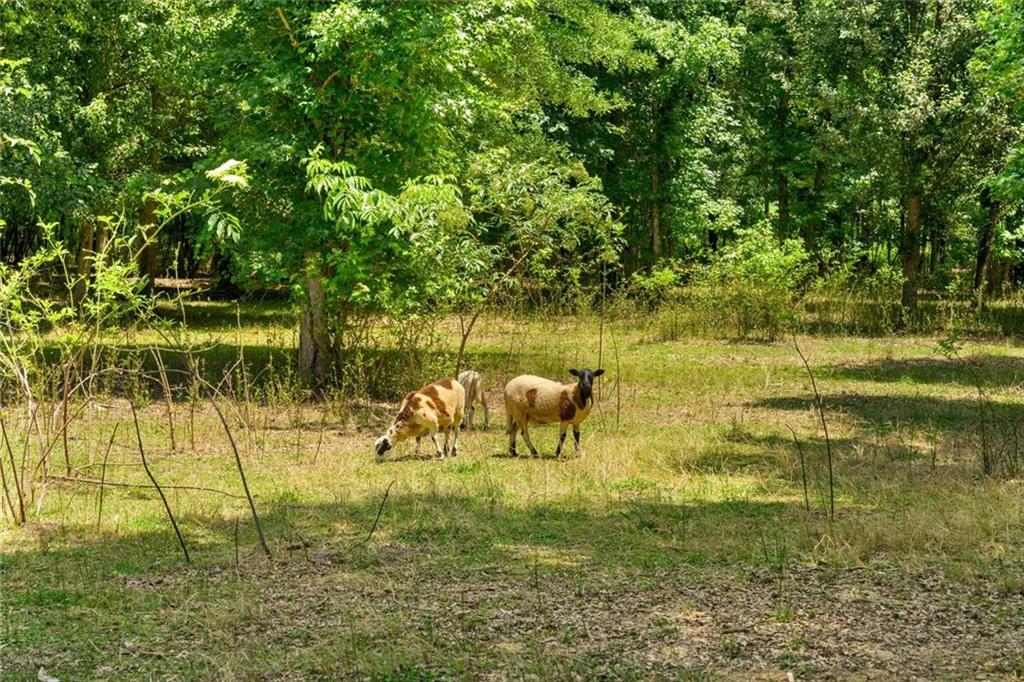 1600 Old Alabama Road Taylorsville, GA 30178 - Photo 83 of 88