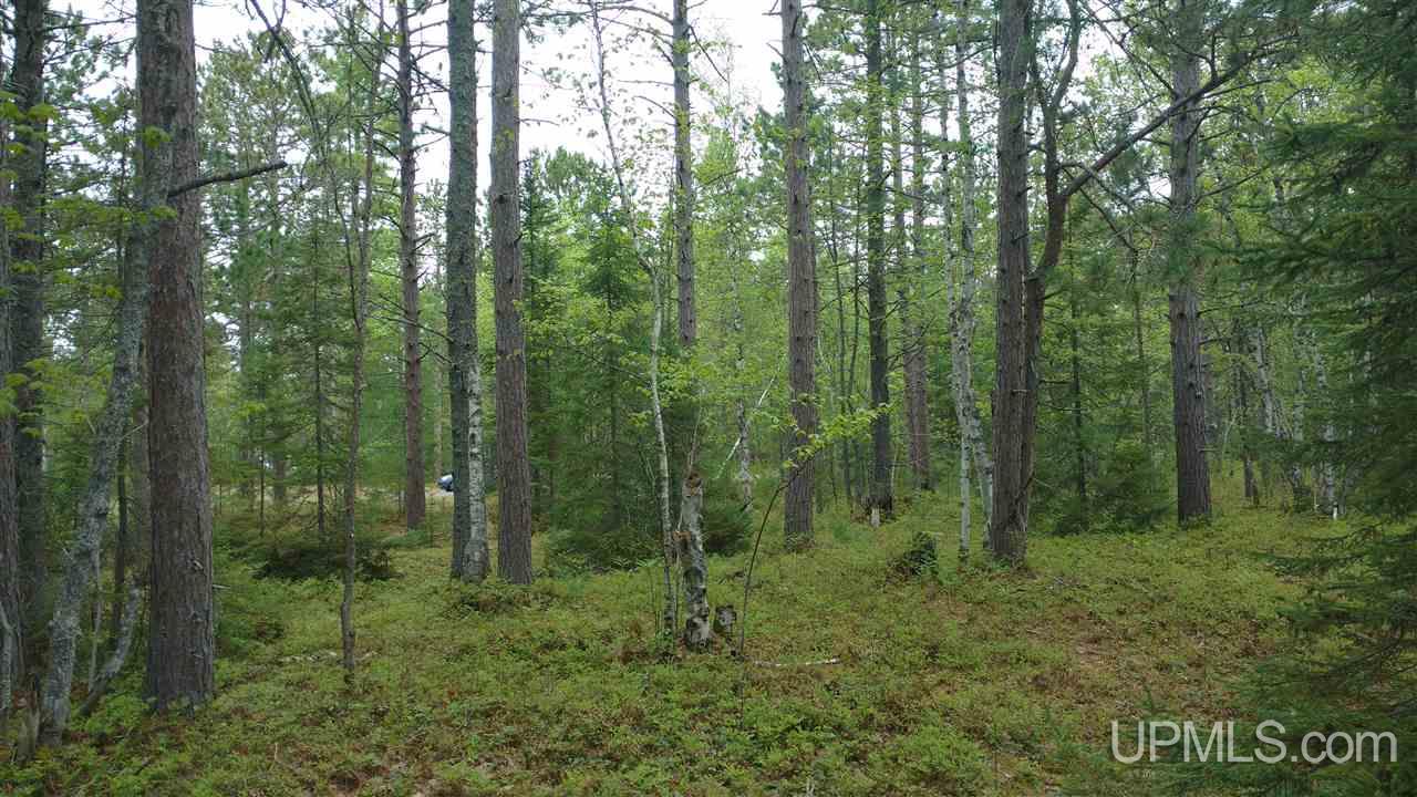 Tbd Little Rice Lake Road, Unit 57 Lake Linden, MI 49945 - Photo 1 of 9