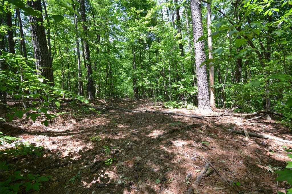 5960 Highway 120 Buchanan, GA 30113 - Photo 11 of 40 a view of backyard with green space