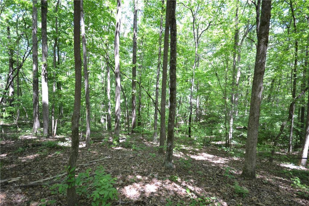 5960 Highway 120 Buchanan, GA 30113 - Photo 14 of 40 a view of outdoor space and green space