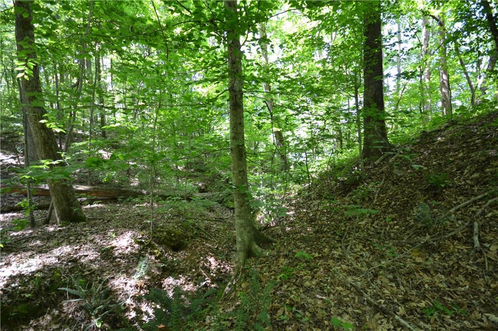 5960 Highway 120 Buchanan, GA 30113 - Photo 22 of 40 a view of a forest
