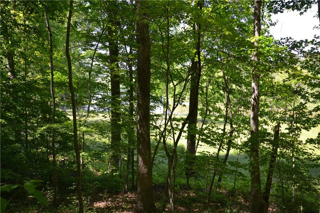 5960 Highway 120 Buchanan, GA 30113 - Photo 23 of 40 a view of forest