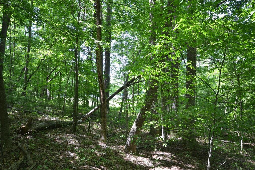 5960 Highway 120 Buchanan, GA 30113 - Photo 29 of 40 a backyard of a house with lots of trees