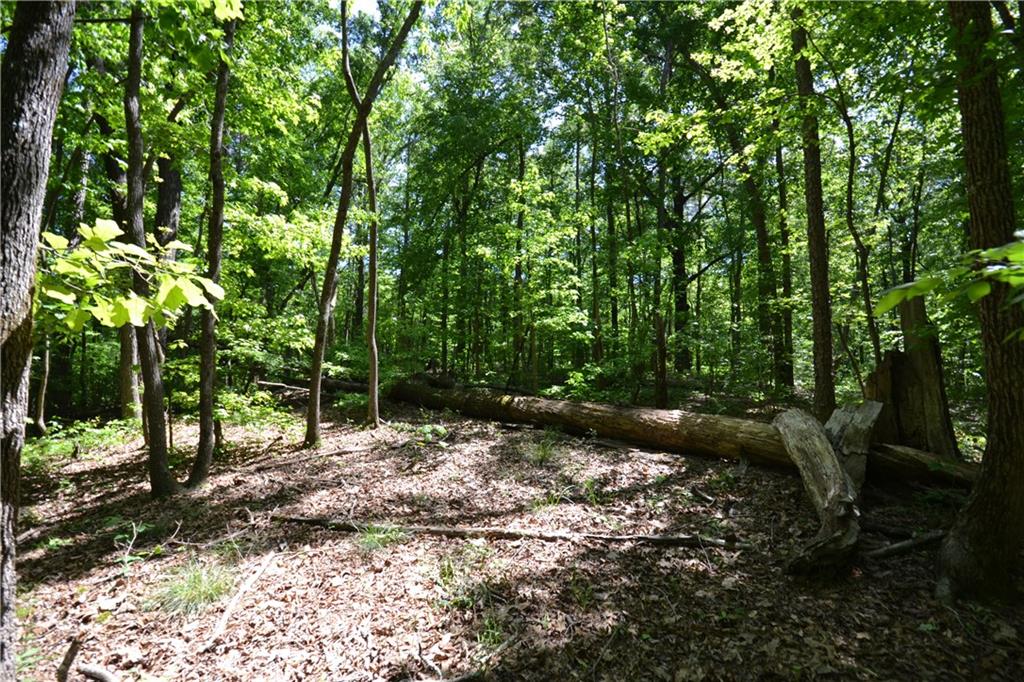 5960 Highway 120 Buchanan, GA 30113 - Photo 32 of 40 a backyard of a house with lots of green space
